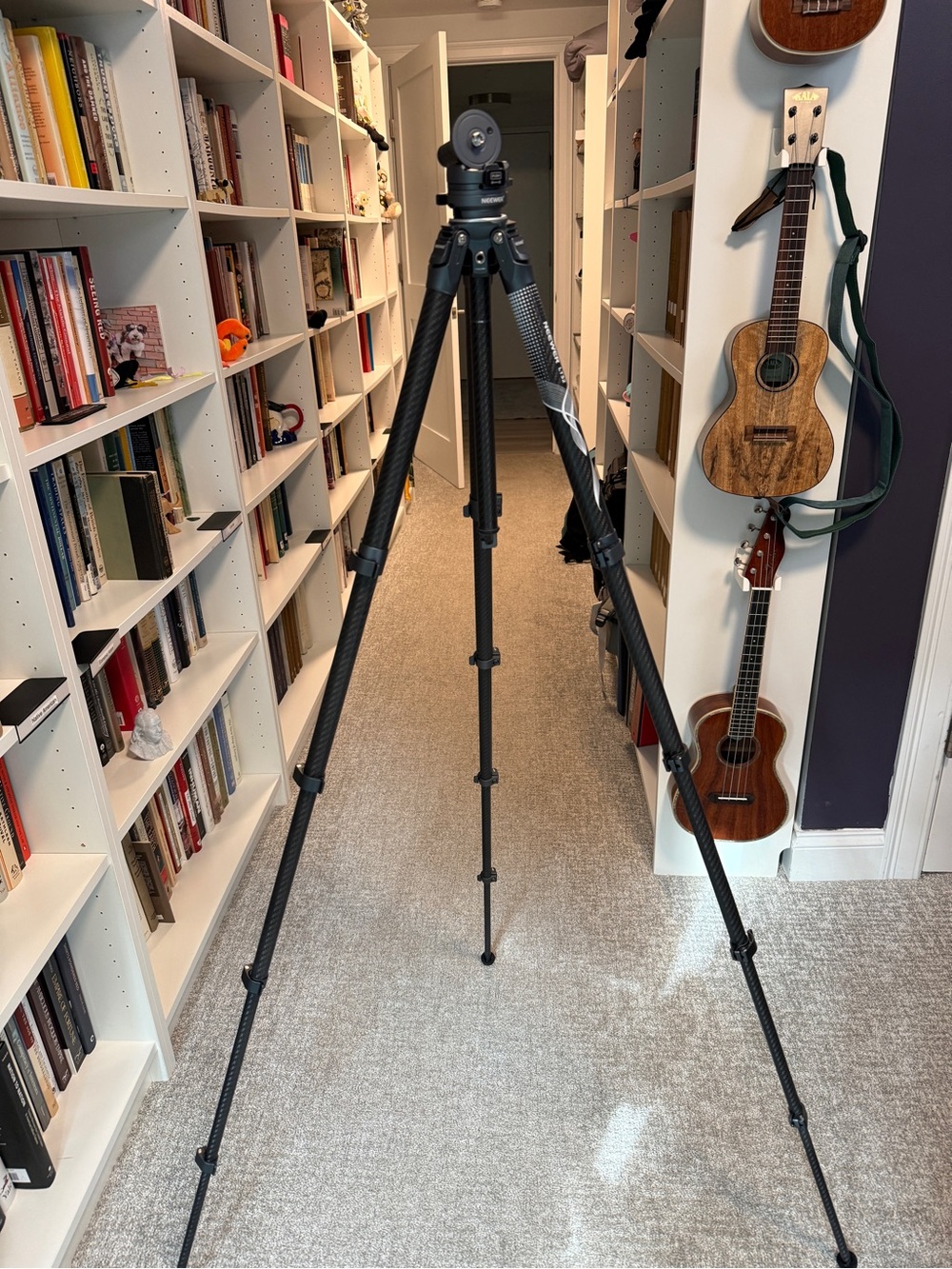 NEEWER LT32 62" Carbon Fiber Travel Tripod